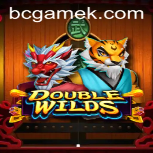 Exploring the Exciting World of DoubleWilds